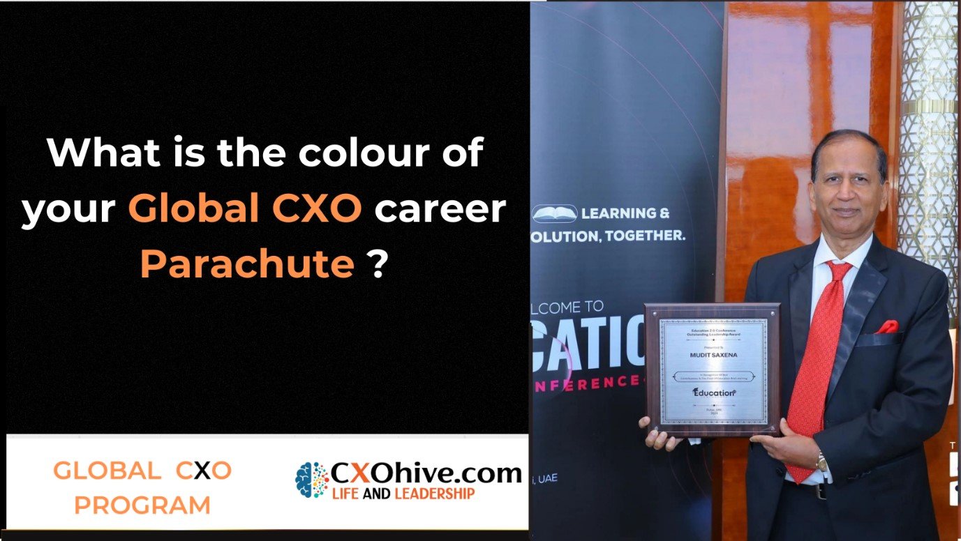 What is the colour of your Global CXO career parachute